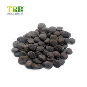 Griffonia Seed Extract 99% 5-Htp