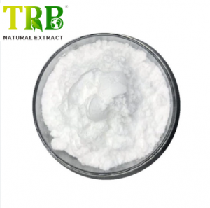 Citicoline Sodium Bulk Powder
