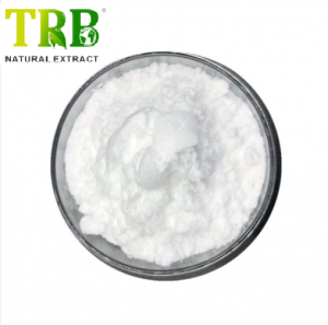 Citicoline Sodium Pulver