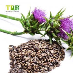 Soluble Milk Thistle Extract