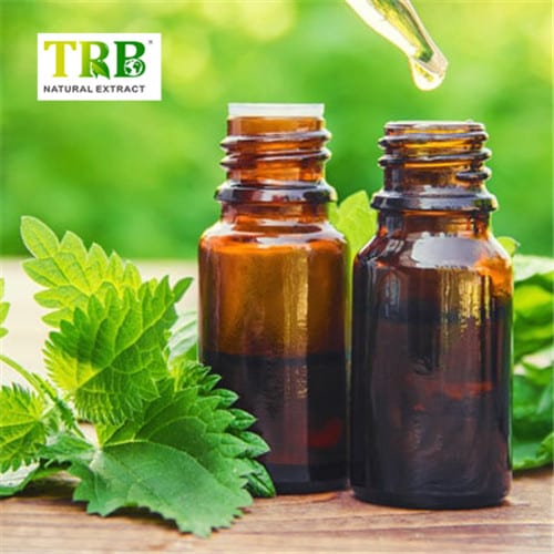 Special Design for Lutein And Lycopene - OEM/ODM Supplier Stinging Nettle Extract Phytosterols Nettle Root Extract Urtica Dioica L. – Tong Rui Bio