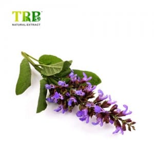 Extract Clary Sage