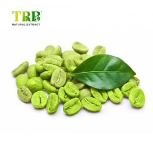 Green Coffee Bean Powder Extract 50%
