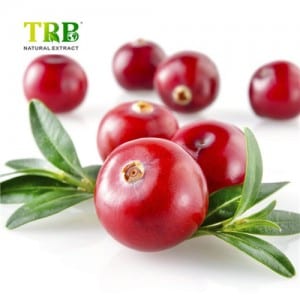 Cranberry Extract Fruit Powder Anthocyanin Procyanidins