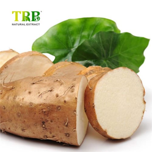 Wild Yam Extract Featured Image