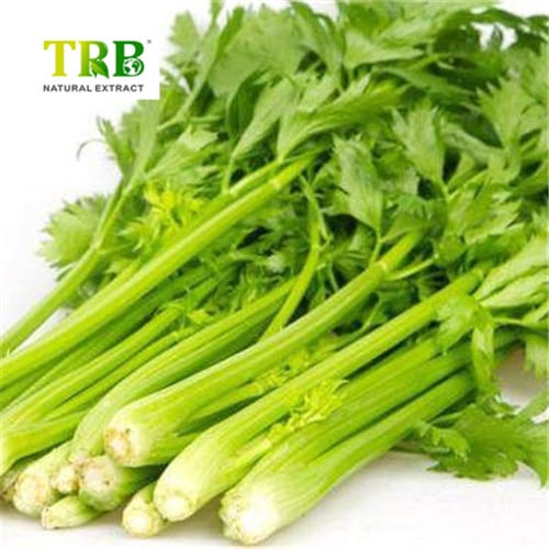 Celery Seed Extract Apigenin Featured Image