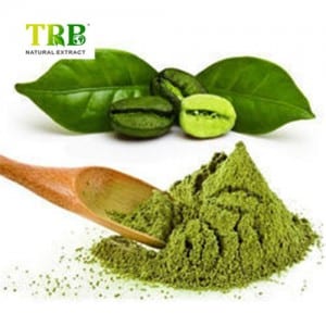 Green Coffee Bean Powder Extract 50%
