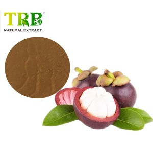 mangosteen juice powder