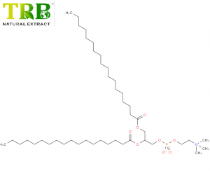 Hydrogenated Phosphatidylcholine