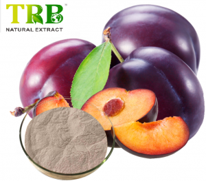 Plum Meraq Trab