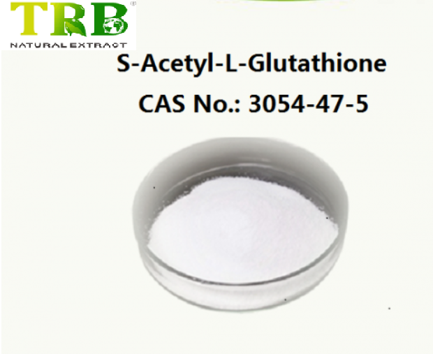 S-Acetyl L-Glutathione Featured Image