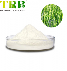 Wheat oligopeptides powder