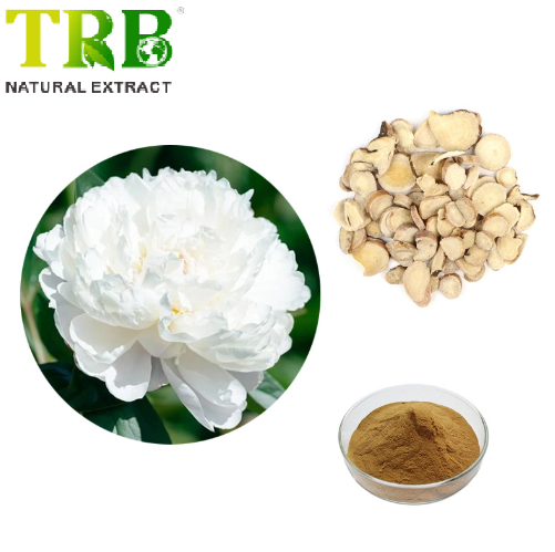 White Peony Extract Featured Image