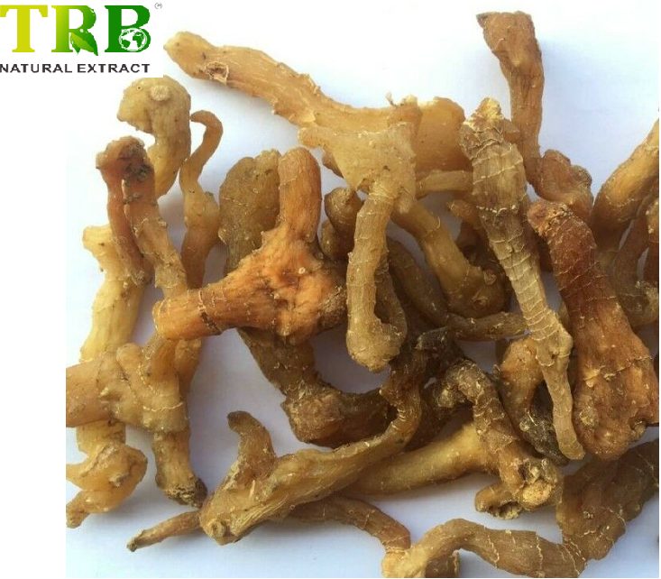 Factory Promotional Olea Europaea Leaf Extract - Organic Solomonseal Rhizome Extract 10.0% Polysaccharides – Tong Rui Bio detail pictures