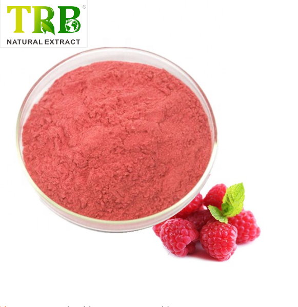 Raspberry Juice Powder Featured Image