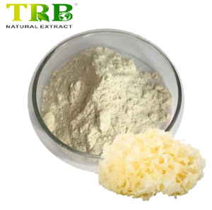 Tremella Fuciformis Extract Powder