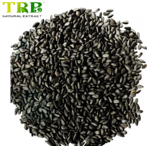 Black Sesame Seed Extract Powder 98% Sesamin