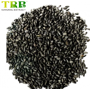 Sesame Extract Powder